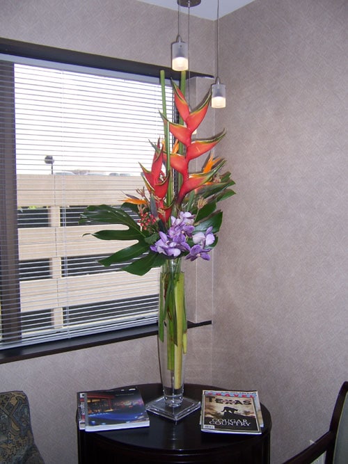 Weekly Flowers Dallas Delivery & Install Dr Delphinium